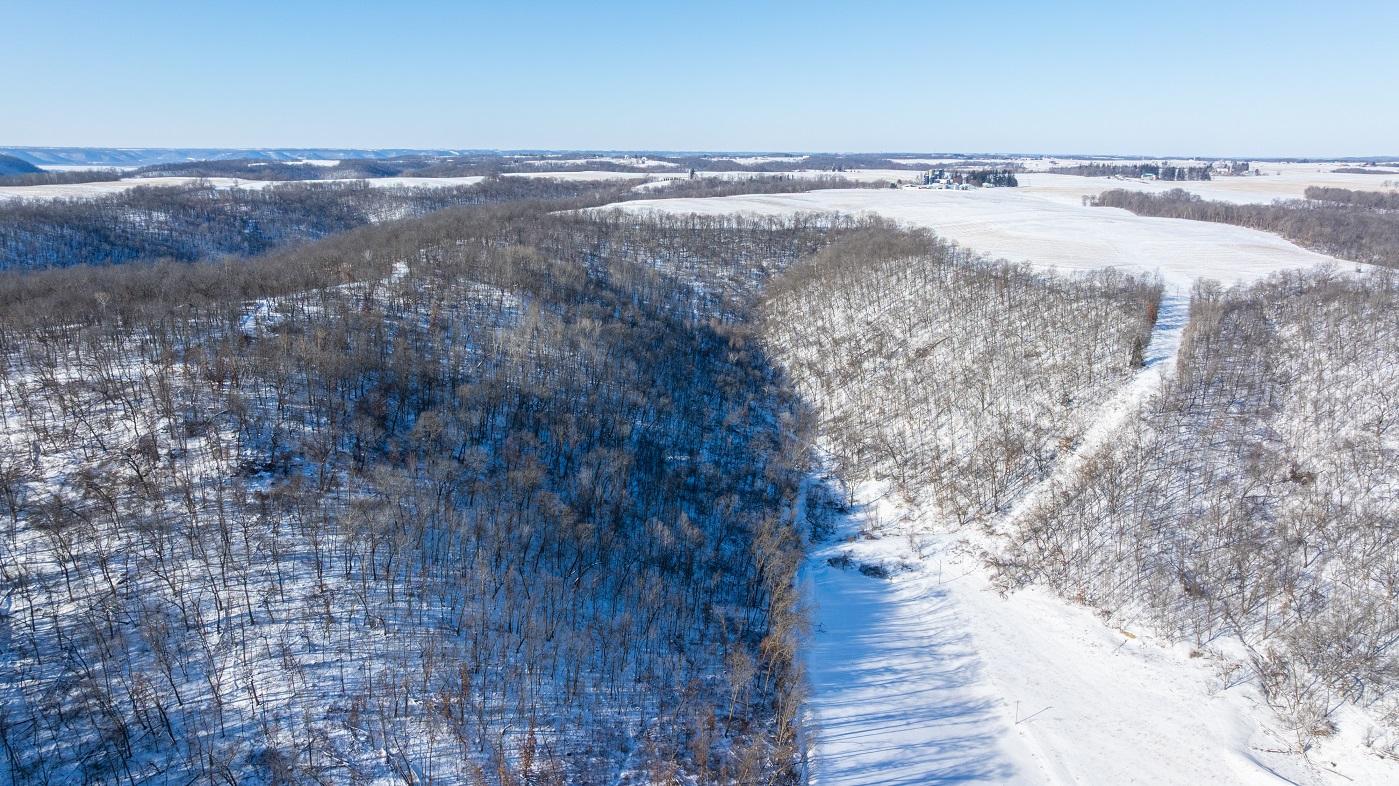 DJI_20260127105408_0162_D.jpg