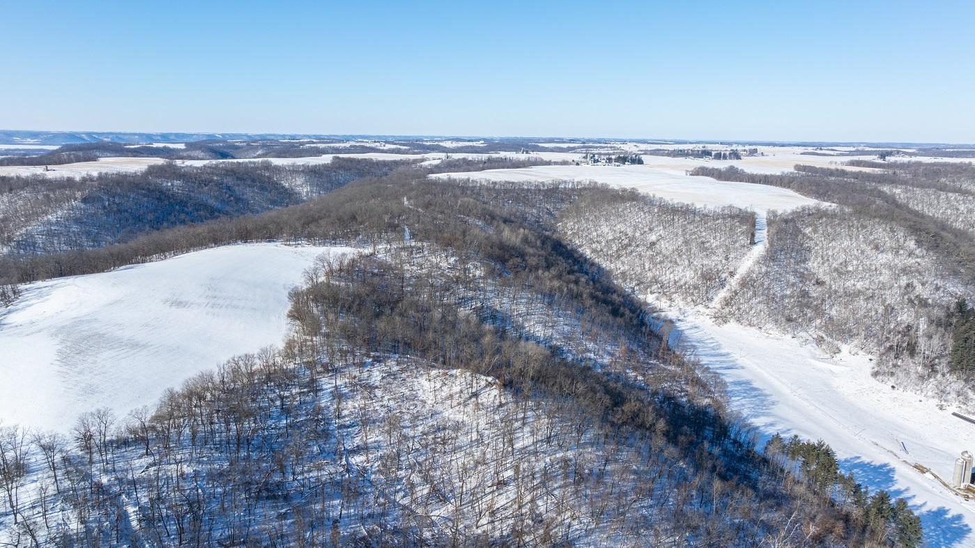 DJI_20260127105310_0157_D.jpg