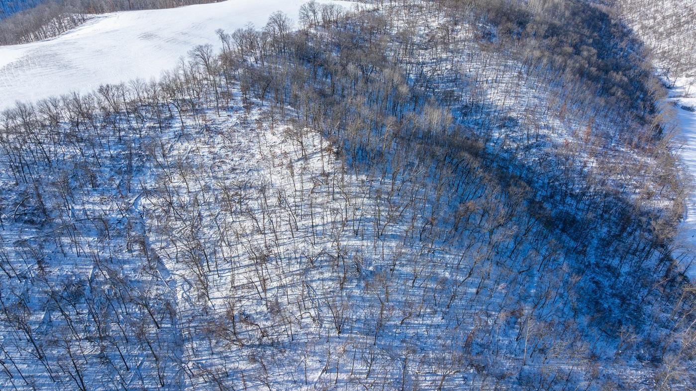 DJI_20260127105348_0161_D.jpg