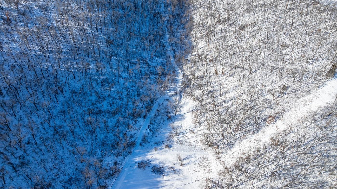 DJI_20260127105853_0172_D.jpg