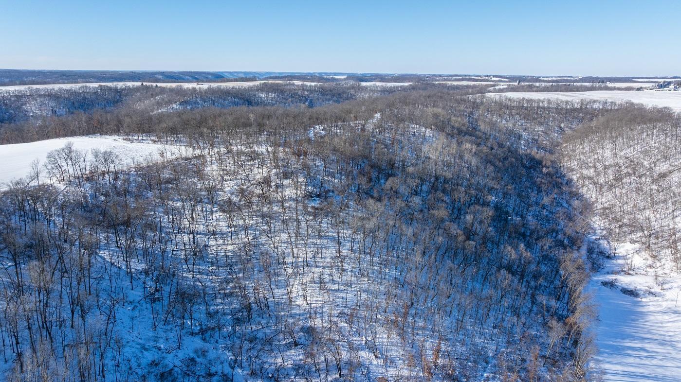 DJI_20260127105418_0163_D.jpg