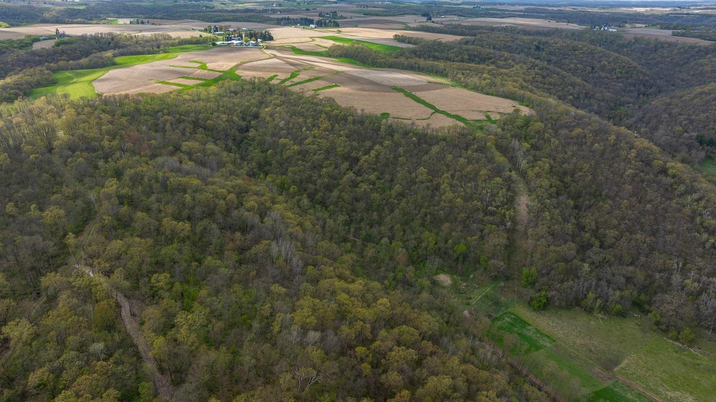 DJI_20260429154753_0951_D.jpg