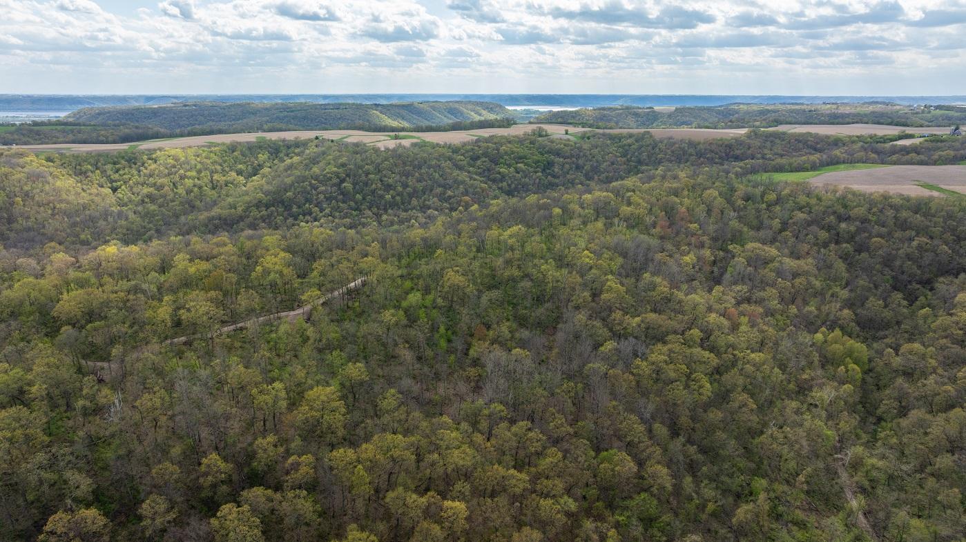 DJI_20260429155248_0966_D.jpg