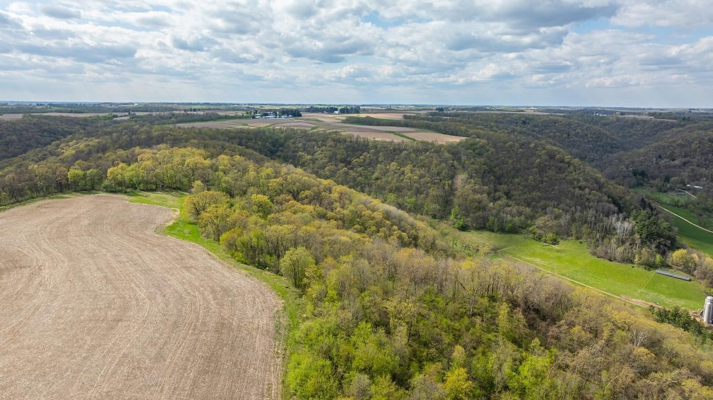 DJI_20260429155931_0982_D.jpg