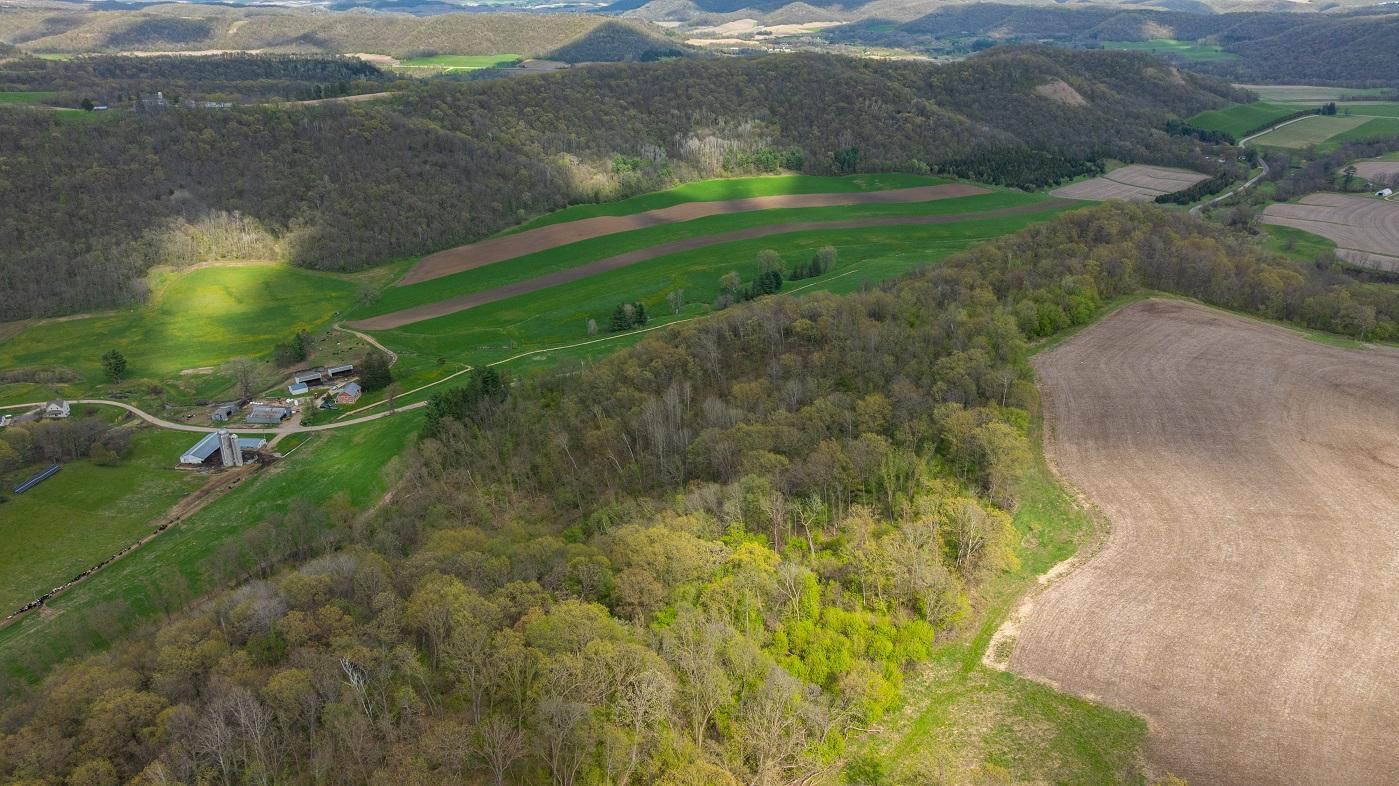 DJI_20260429155111_0958_D.jpg