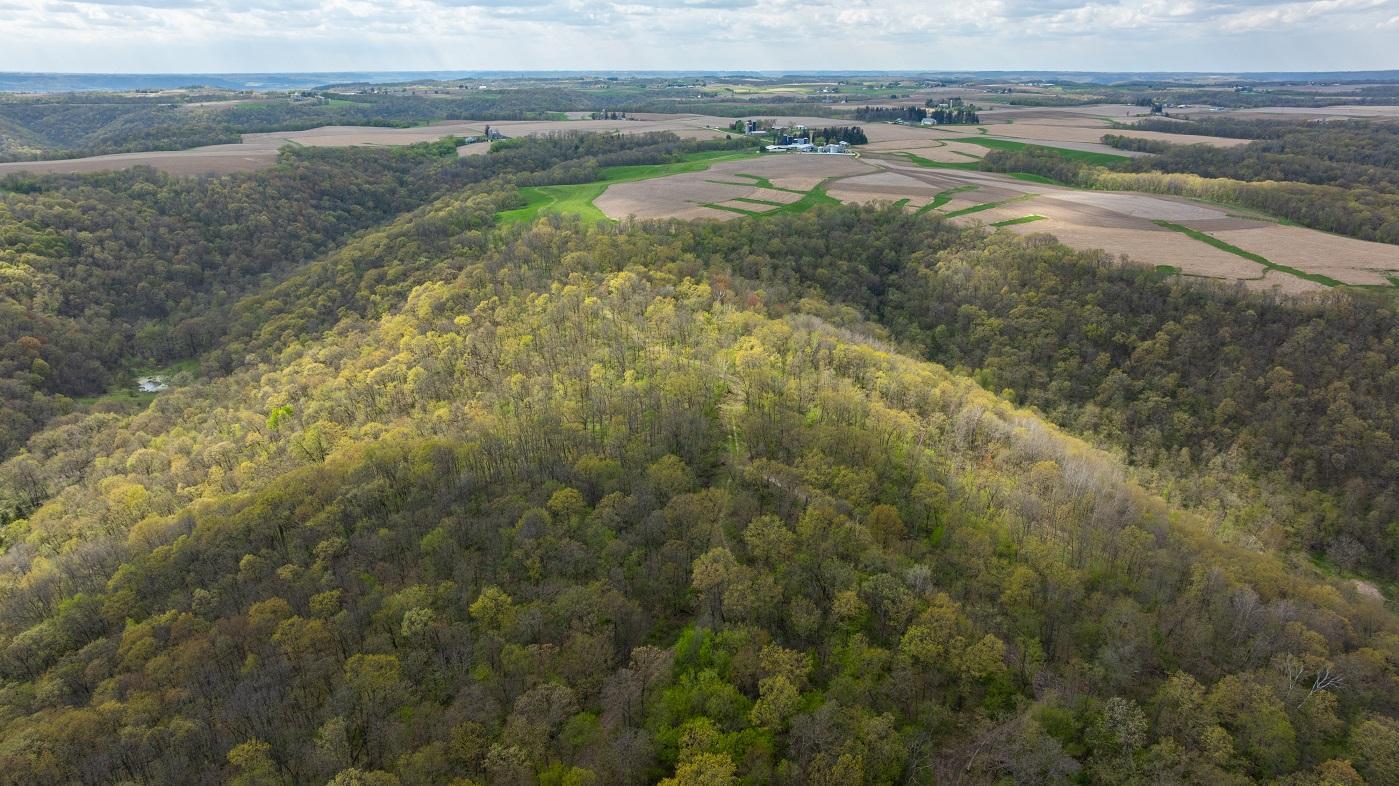DJI_20260429154949_0955_D.jpg