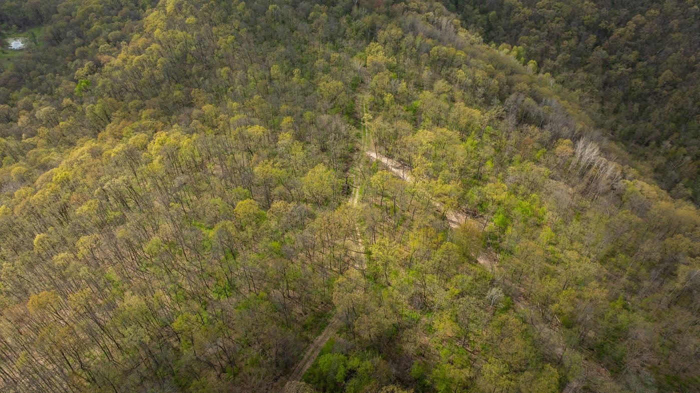 DJI_20260429155003_0956_D.jpg