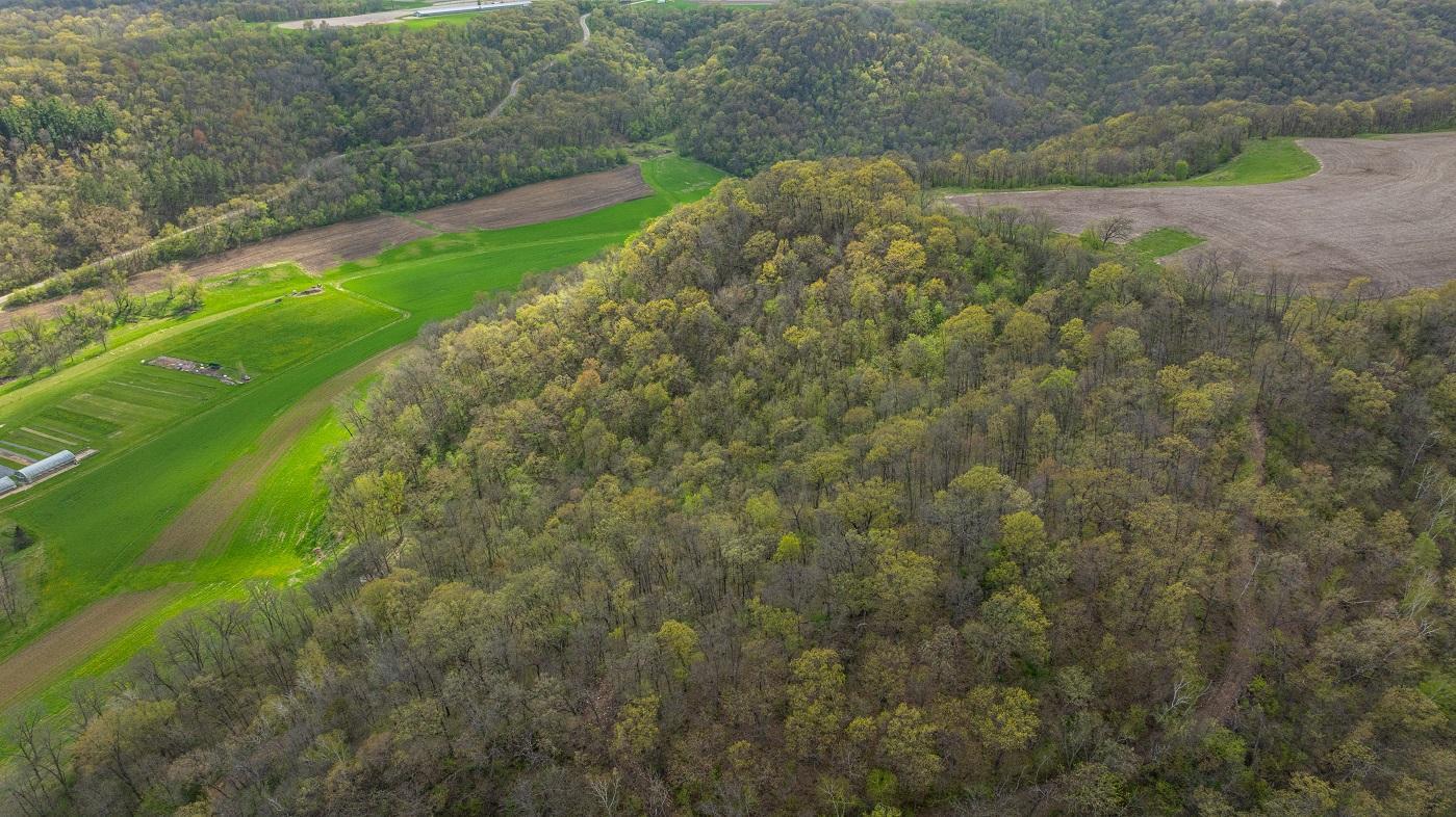 DJI_20260429155427_0971_D.jpg