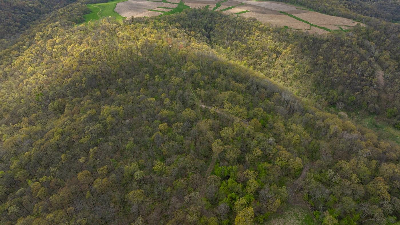 DJI_20260429154936_0954_D.jpg