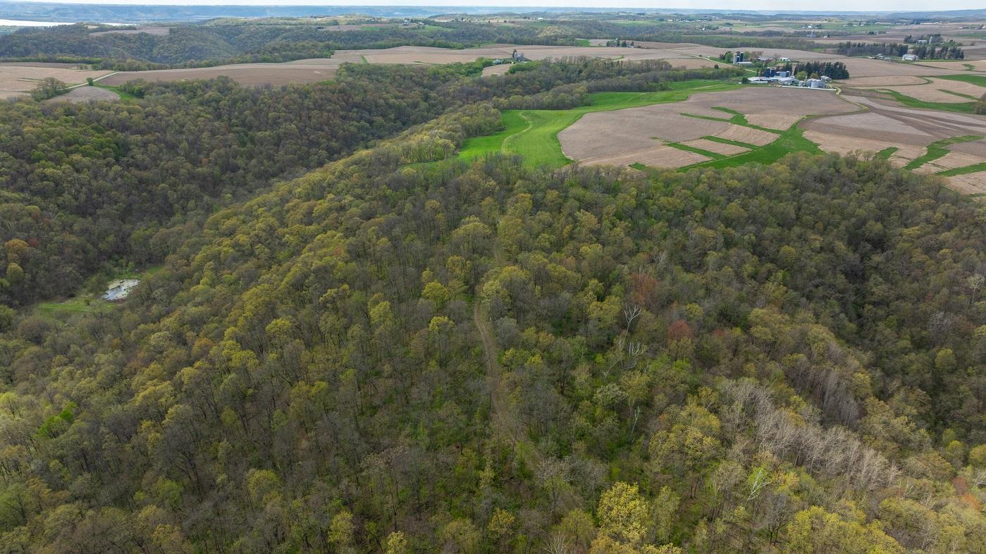 DJI_20260429155024_0957_D.jpg