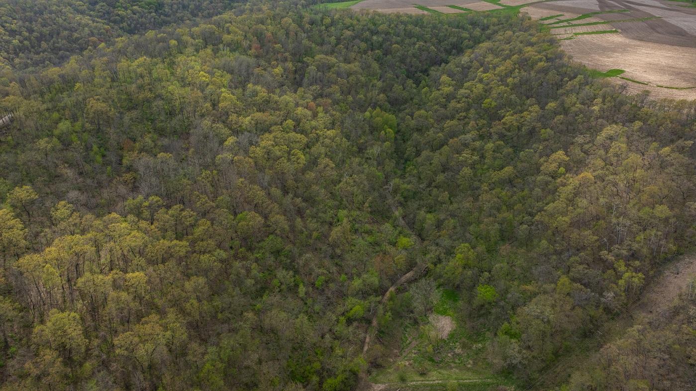 DJI_20260429155255_0967_D.jpg