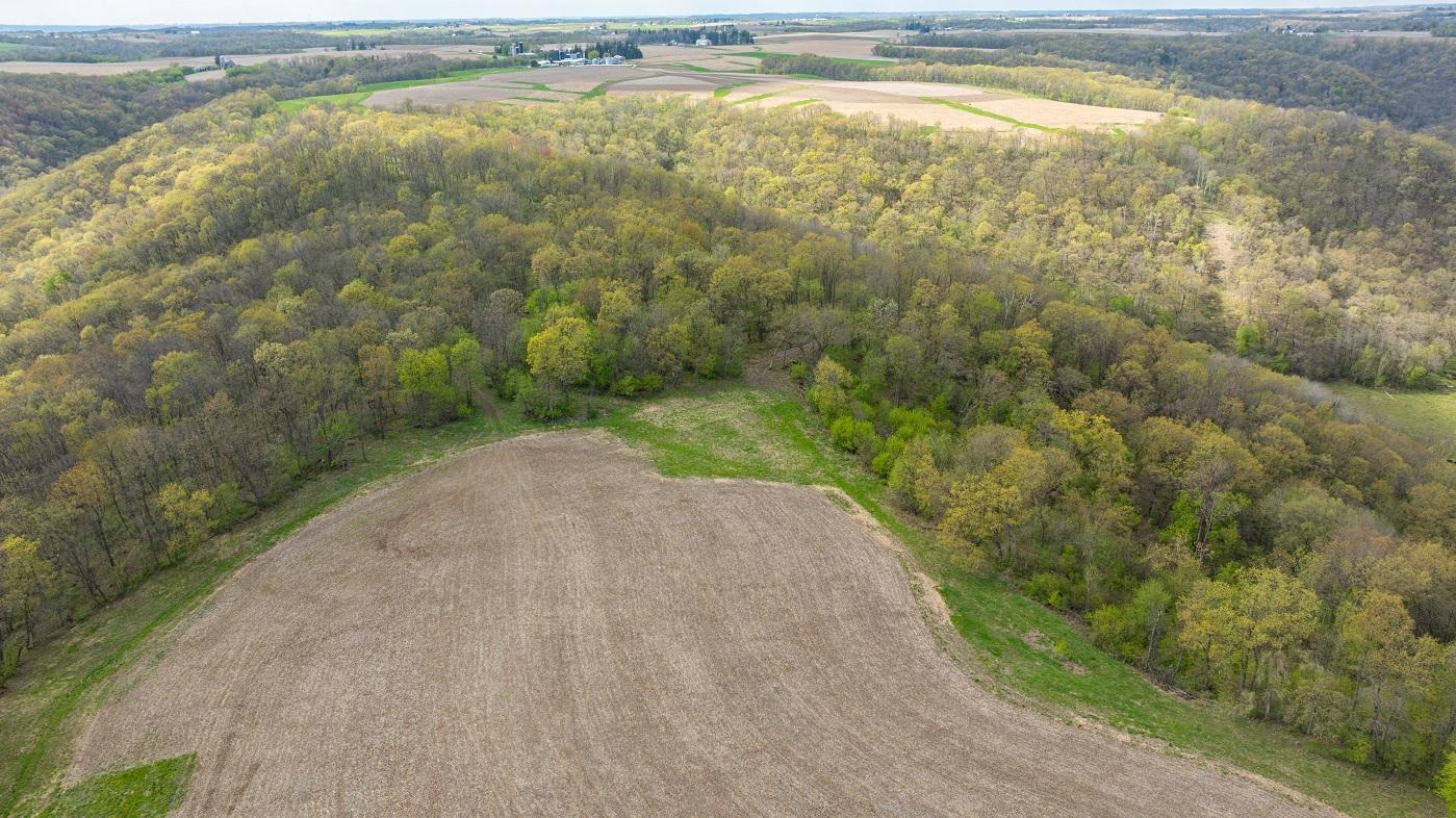 DJI_20260429155828_0980_D.jpg