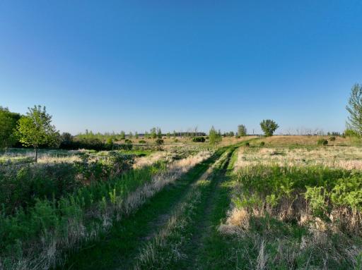 TBD County Highway 14, Madison, MN 56256
