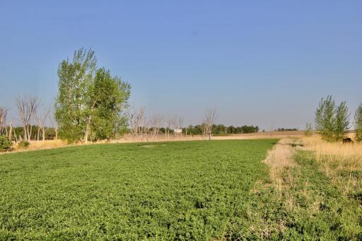TBD County Highway 14, Madison, MN 56256
