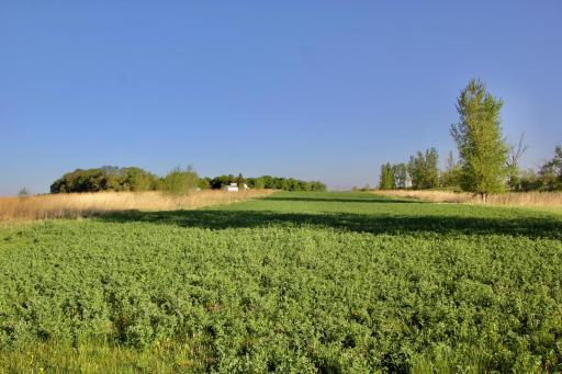 TBD County Highway 14, Madison, MN 56256
