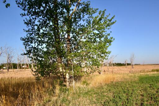 TBD County Highway 14, Madison, MN 56256