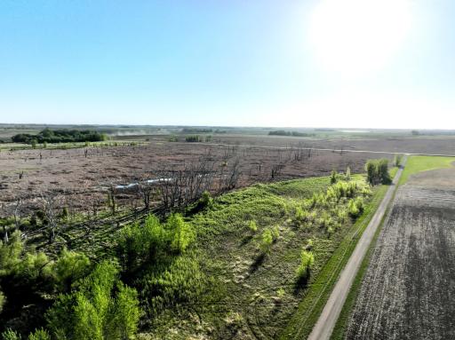 TBD County Highway 14, Madison, MN 56256
