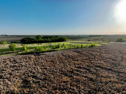 TBD County Highway 14, Madison, MN 56256
