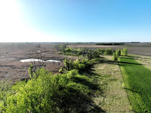 TBD County Highway 14, Madison, MN 56256