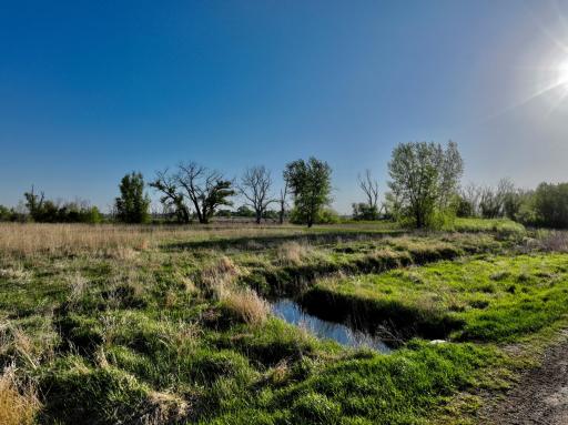 TBD County Highway 14, Madison, MN 56256