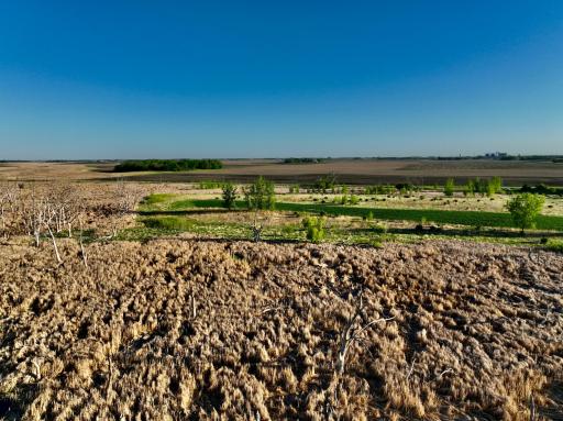 TBD County Highway 14, Madison, MN 56256
