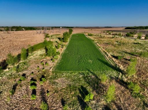 TBD County Highway 14, Madison, MN 56256