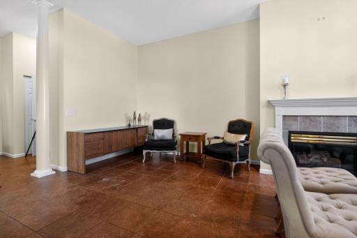 16_2433_Columbus_Ct_Minneapolis_MN_55404-Living_room-DSC_5363.jpg