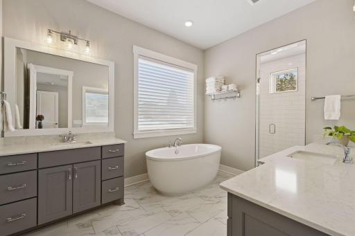 24545 Bentgrass Way, Excelsior, MN 55331