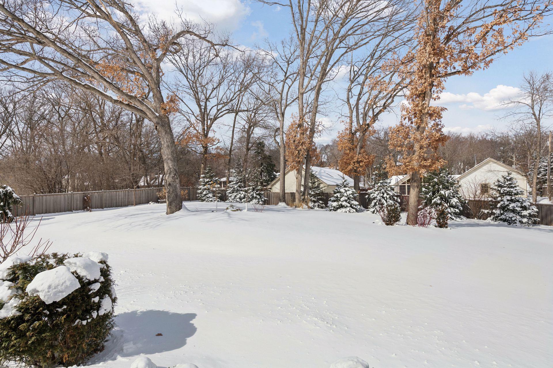 Large and private backyard with privacy fence