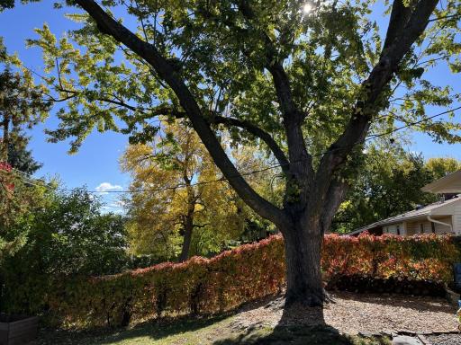 974 Ohio Street, Saint Paul, MN 55118