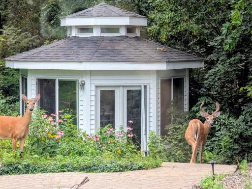 An abundance of wildlife surrounds the property year-round, offering a unique opportunity to enjoy nature right outside your door.