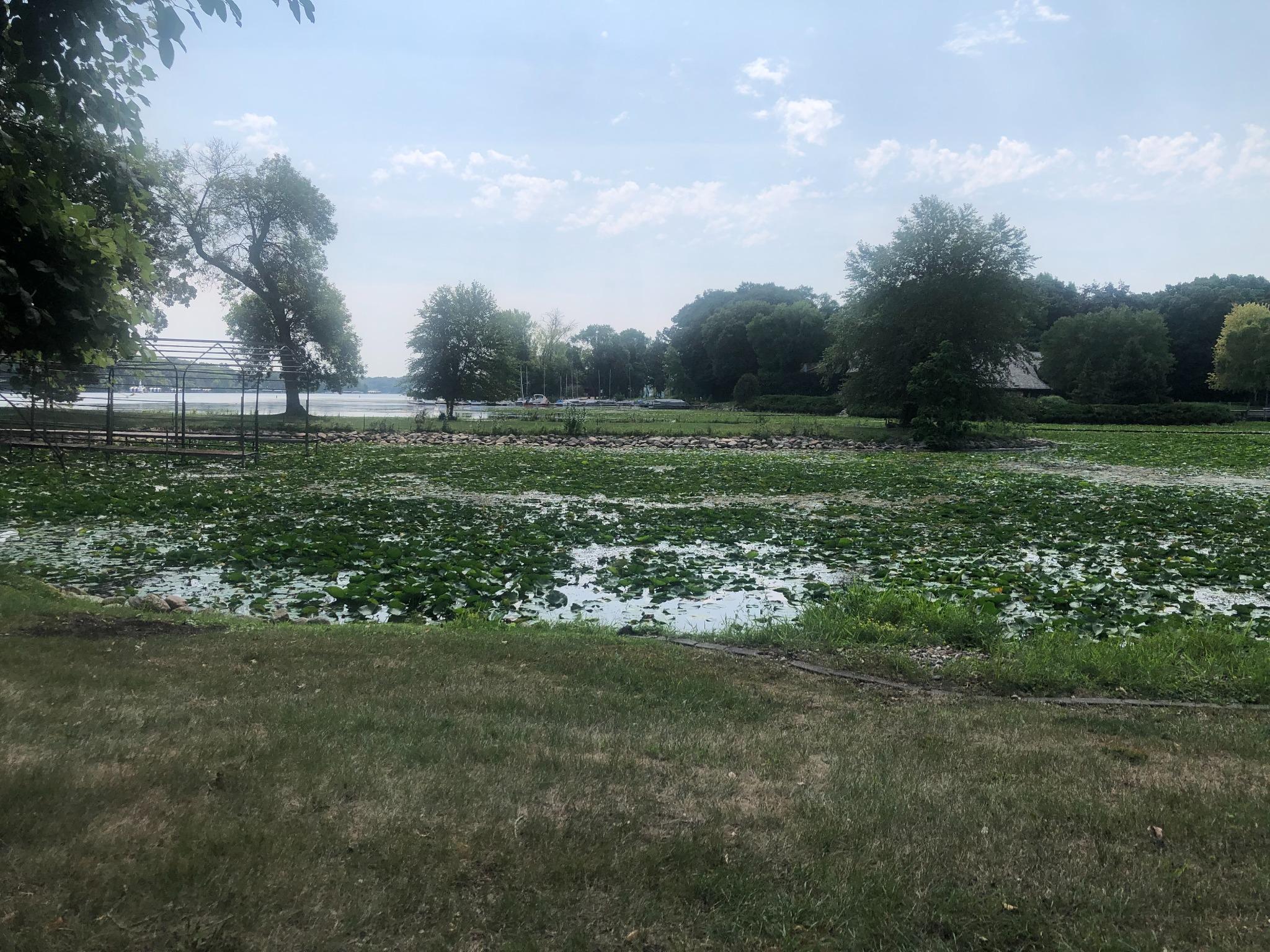 View from the front towards Howards Point & Boyscout Island