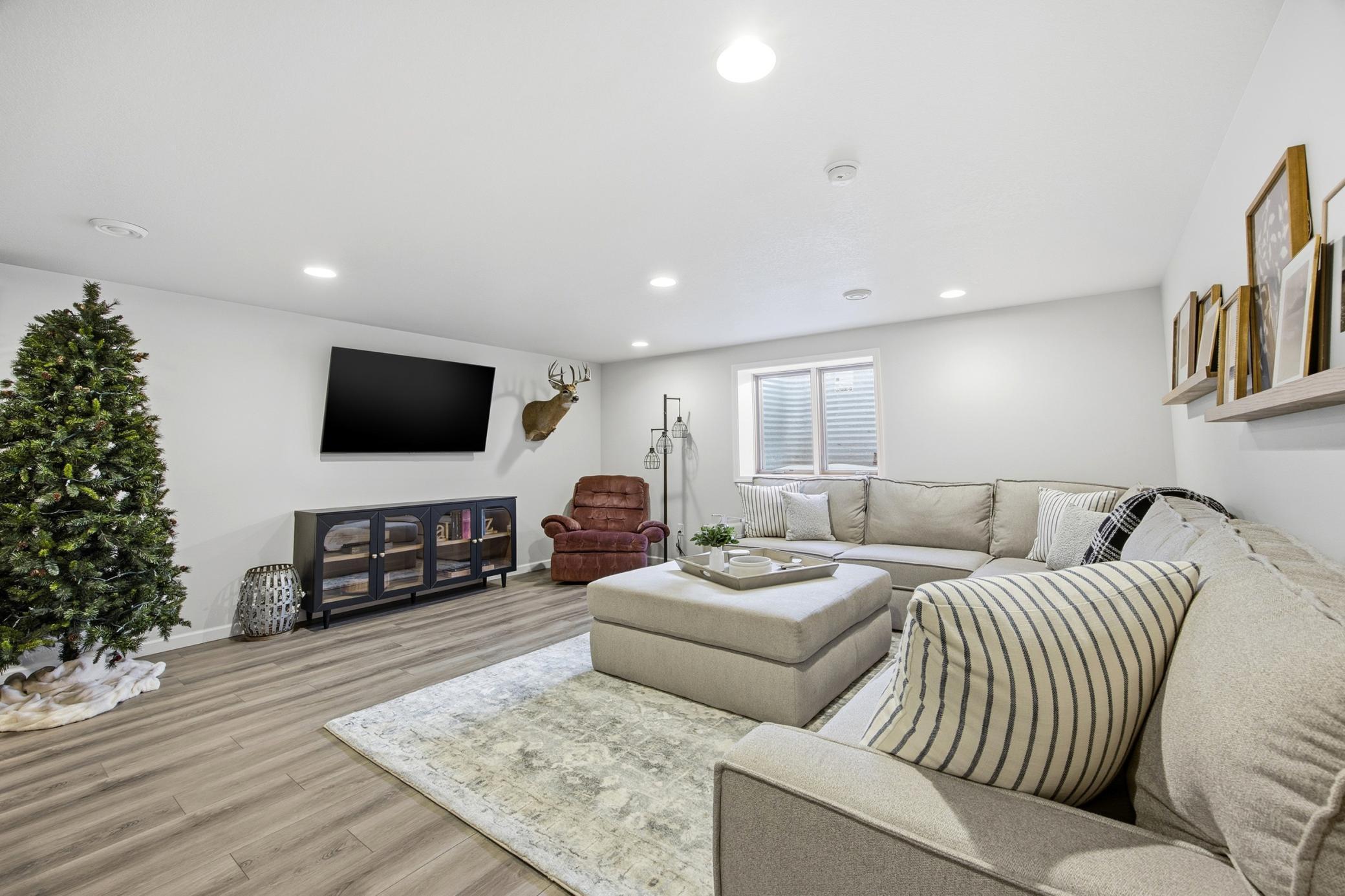 Lower Level Living Room