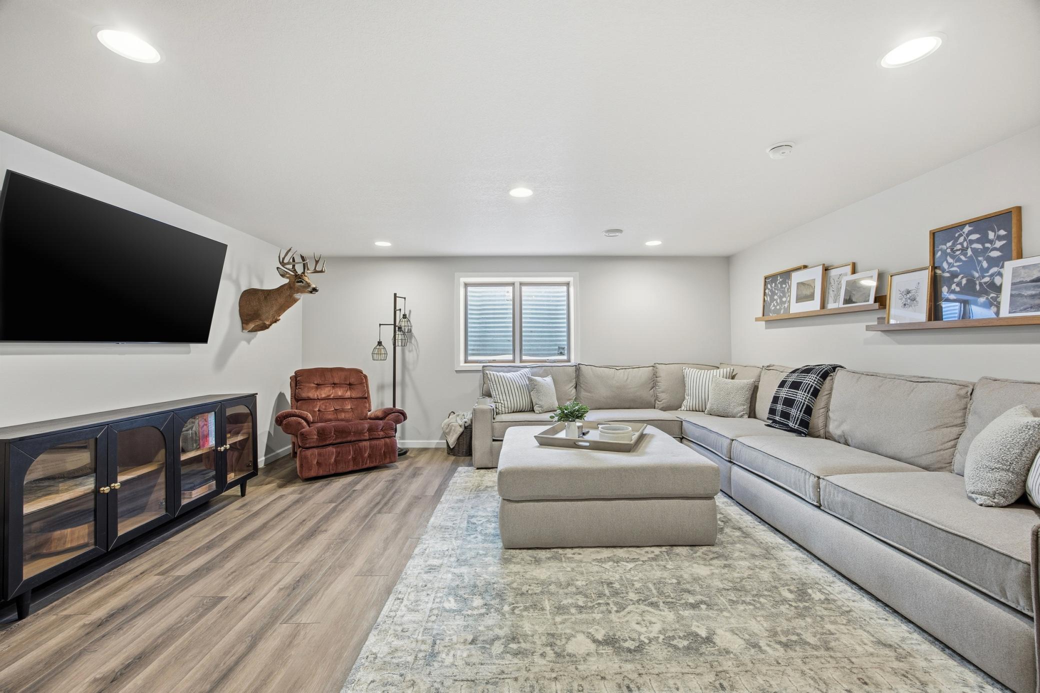 Lower Level Living Room