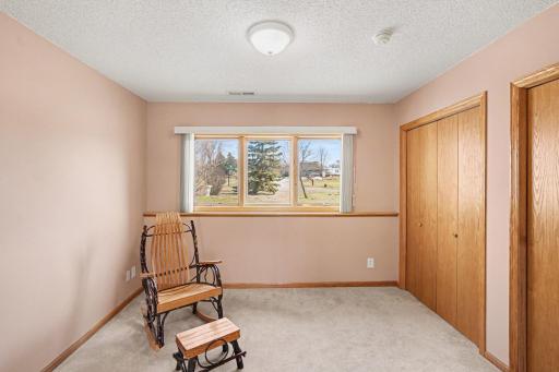 The 4th bedroom in the lower level features: French doors (not pictured), an updated light fixture, 2 closets (one houses the 200 amp electrical panel), and an east-facing daylight window.