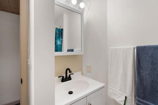 The lower level 3/4 bathroom.