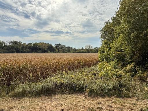 TBD County Road 3, Zumbro Falls, MN 55991