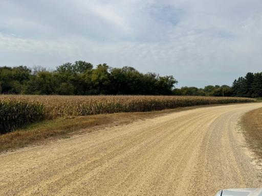 TBD County Road 3, Zumbro Falls, MN 55991