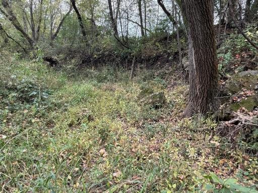 TBD County Road 3, Zumbro Falls, MN 55991