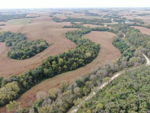 TBD County Road 3, Zumbro Falls, MN 55991