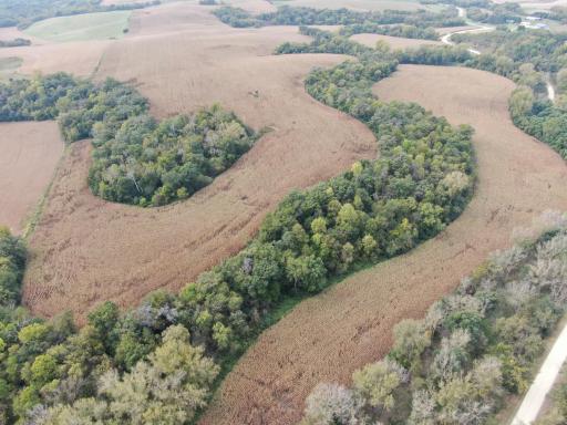 TBD County Road 3, Zumbro Falls, MN 55991