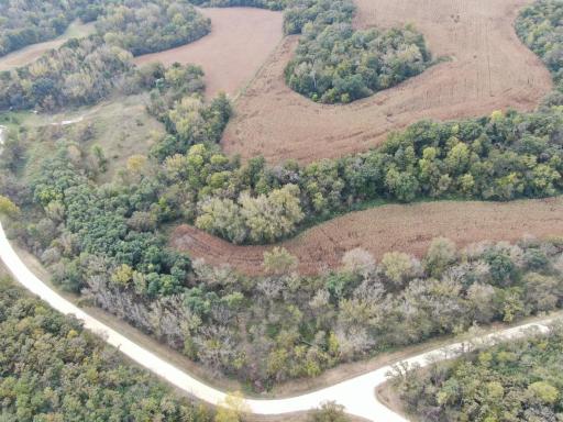 TBD County Road 3, Zumbro Falls, MN 55991