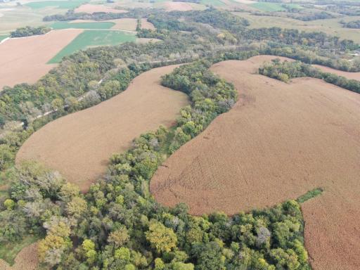 TBD County Road 3, Zumbro Falls, MN 55991