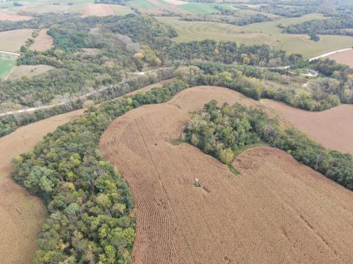 TBD County Road 3, Zumbro Falls, MN 55991
