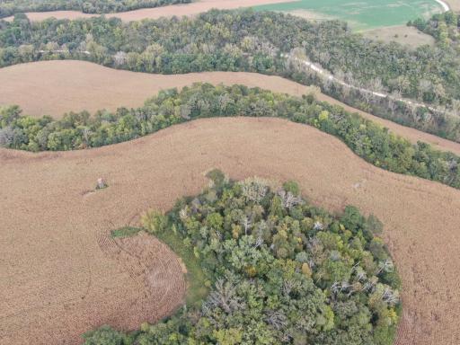 TBD County Road 3, Zumbro Falls, MN 55991
