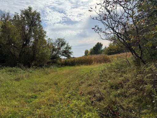 TBD County Road 3, Zumbro Falls, MN 55991