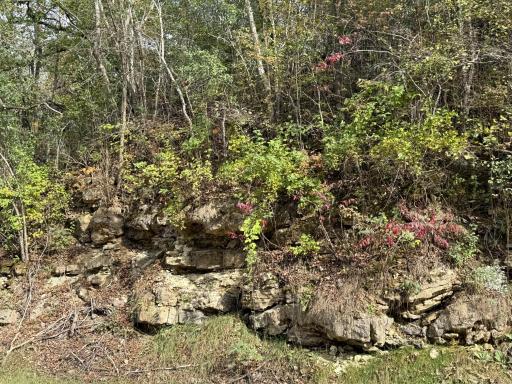 TBD County Road 3, Zumbro Falls, MN 55991
