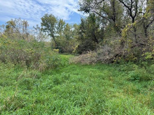TBD County Road 3, Zumbro Falls, MN 55991