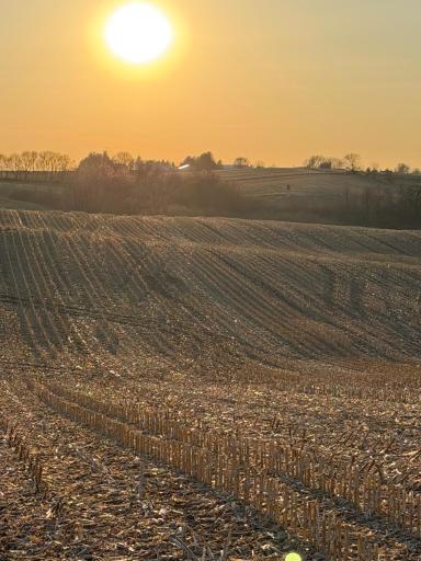 TBD County Road 3, Zumbro Falls, MN 55991
