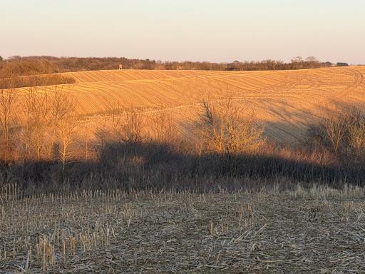 TBD County Road 3, Zumbro Falls, MN 55991